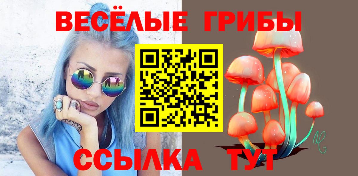 Галлюциногенные грибы Magic Shrooms Павловский Посад