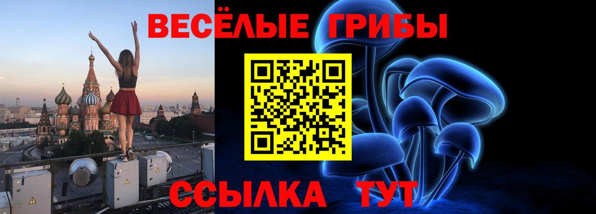 Псилоцибиновые грибы мухоморы  Вход с VPN  Павловский Посад 